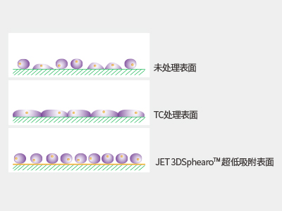 超低吸附表面具有共價結(jié)合的水凝膠層，具有極強的抗蛋白吸附性和抗細(xì)胞貼壁性，可有效抑制細(xì)胞附著