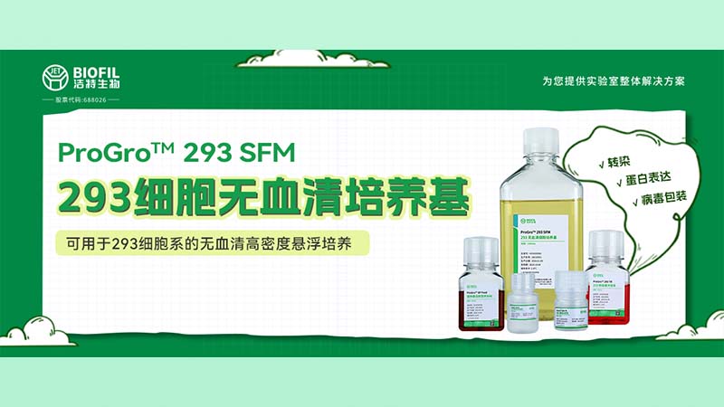 新品上線(xiàn) | 不會(huì)還有人養(yǎng)不好293細(xì)胞吧？！