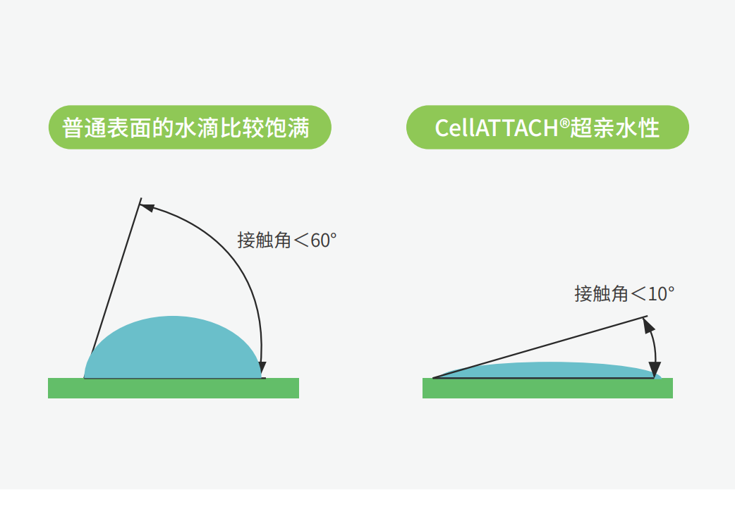 獨(dú)特的超親水表面處理技術(shù)，能為細(xì)胞提供更好的吸附性，促進(jìn)細(xì)胞快速貼壁生長(zhǎng)，提高產(chǎn)量